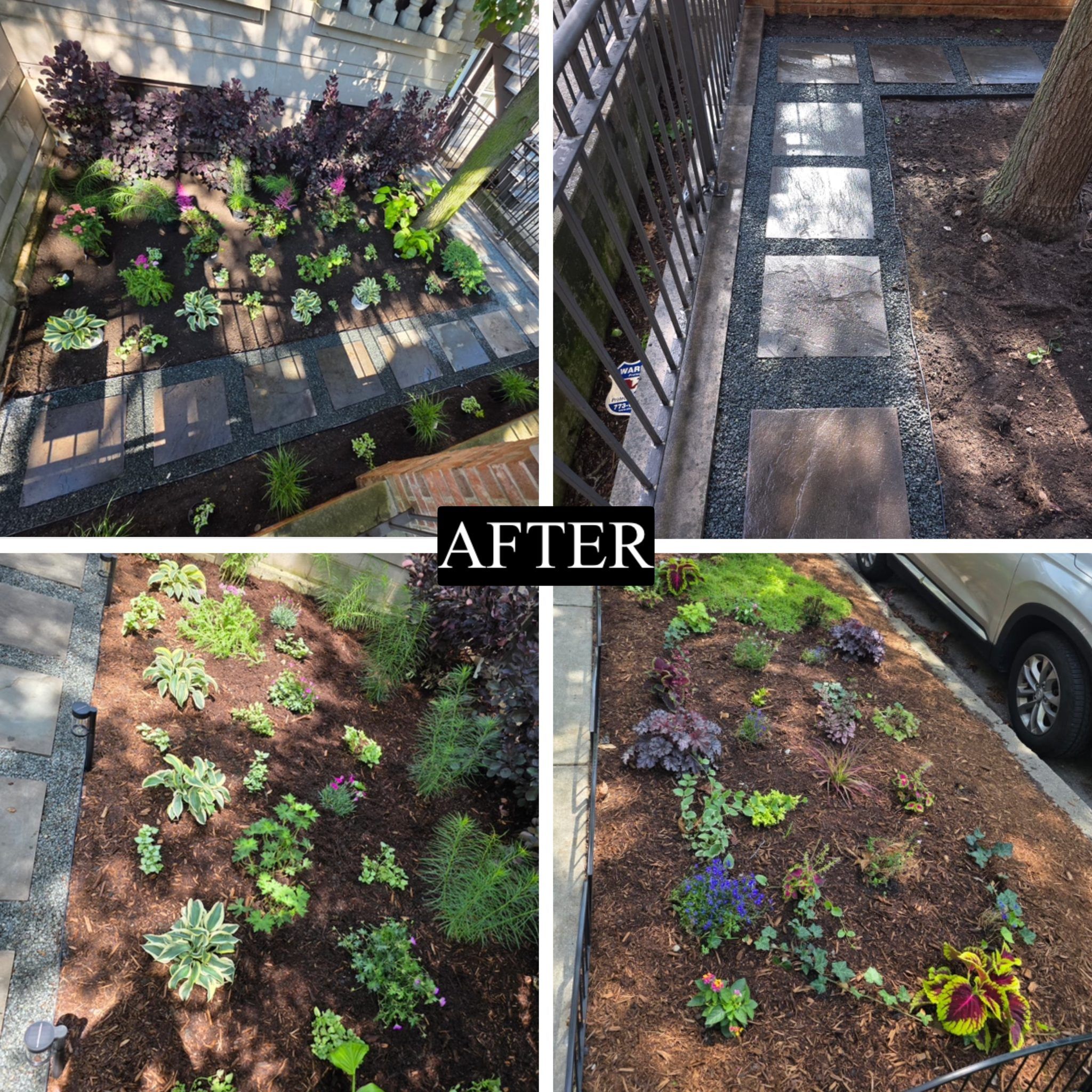 After - finished stone walkway and planted beds, Chicago