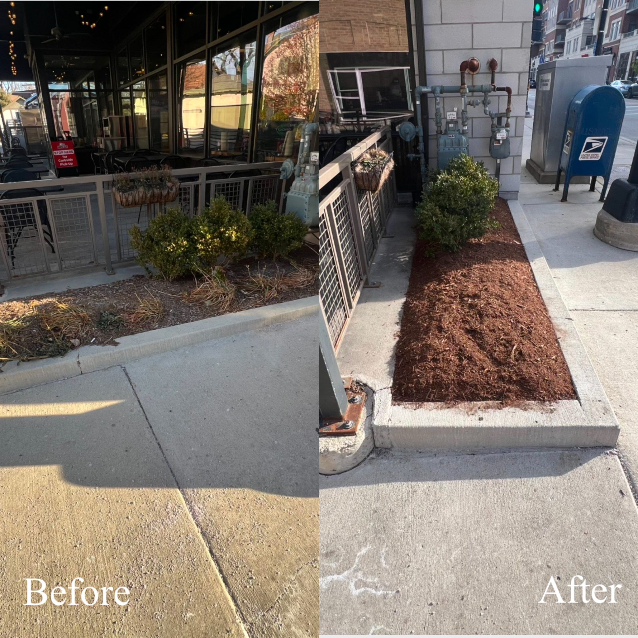 Before and after - storefront bed refresh, Park Ridge IL