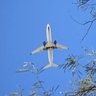 Book Once, Check Twice | How To Save Money Booking Flights and Hotels