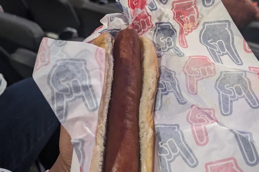 Plain hot dog