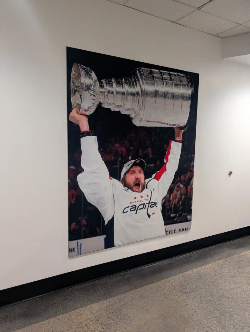 Gallery image 11