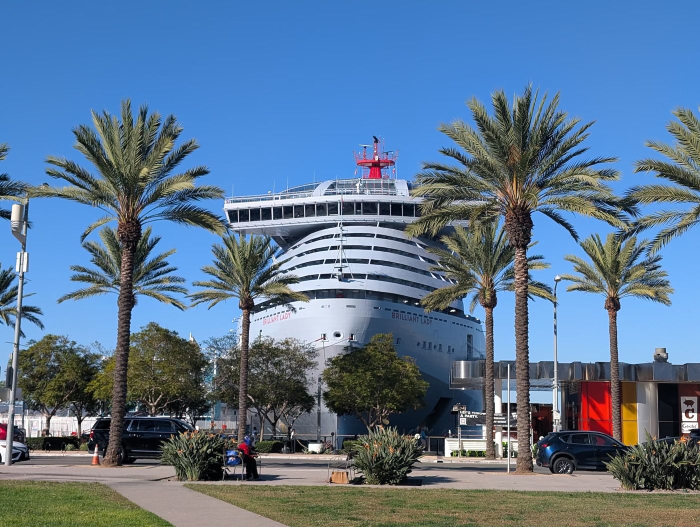 Bow of Brilliant Lady rising behind palm trees on the San Diego waterfront