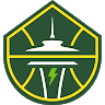 Seattle Storm logo