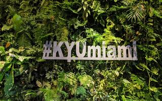 KYU Miami Restaurant Review - NBA Arena Food Review