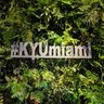 KYU Miami Restaurant Review