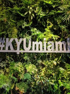 KYU Miami Restaurant Review