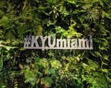KYU Miami Restaurant Review