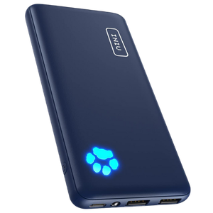 Iniu Portable Charger