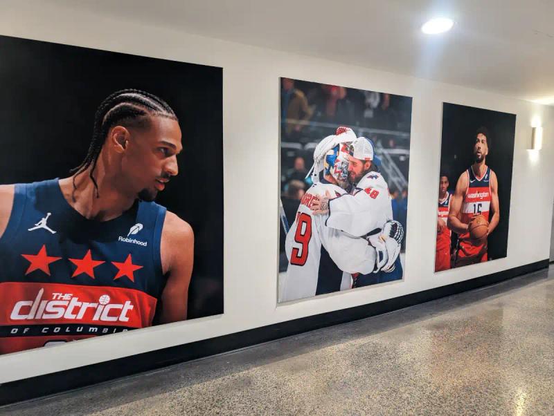 Gallery image 8