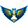 Dallas Wings logo