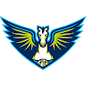 Dallas Wings logo