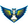 Dallas Wings logo