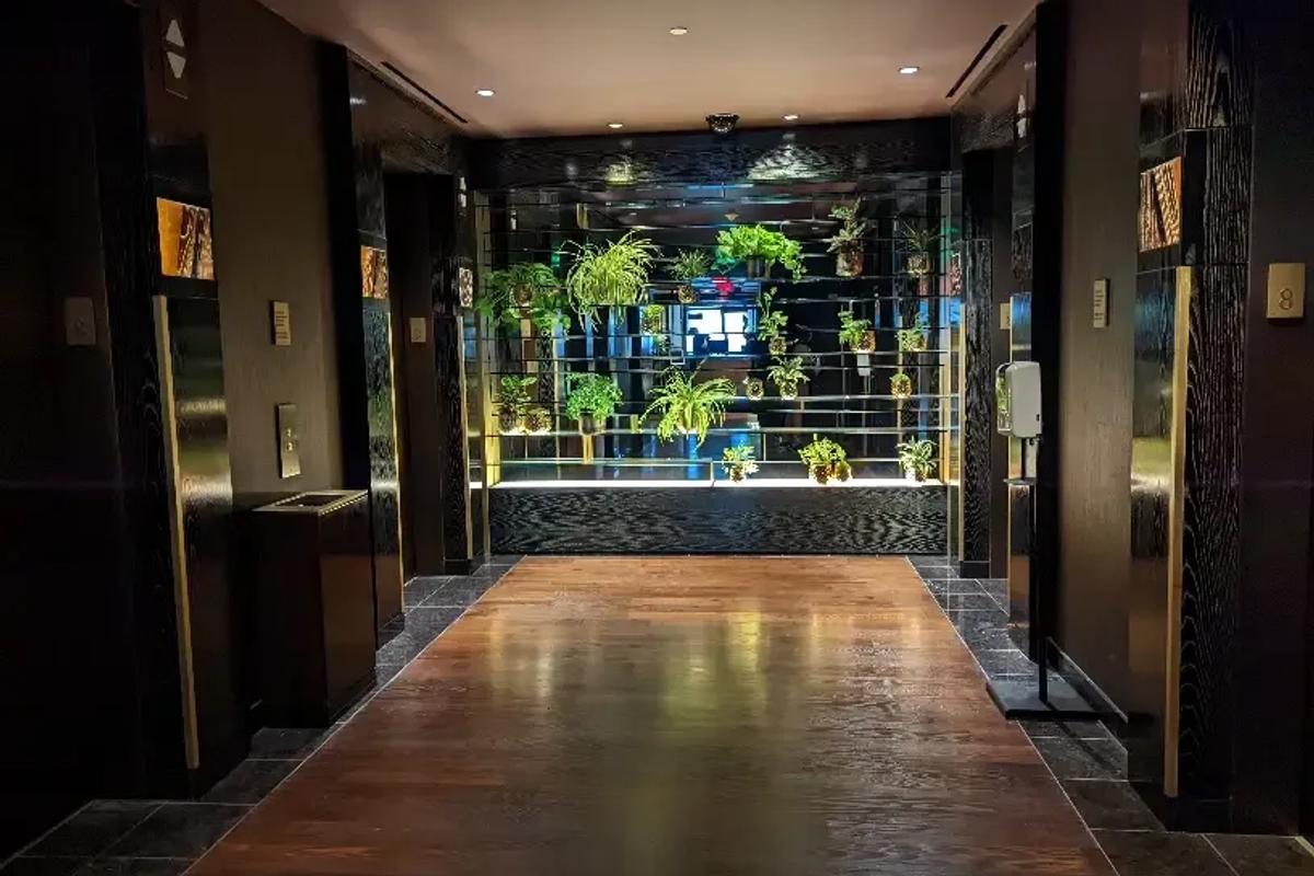 Hotel image 5