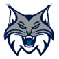 Minnesota Lynx logo