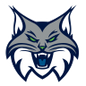 Minnesota Lynx logo
