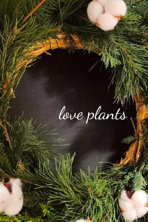 wianek z gałązek choinki z bawełną