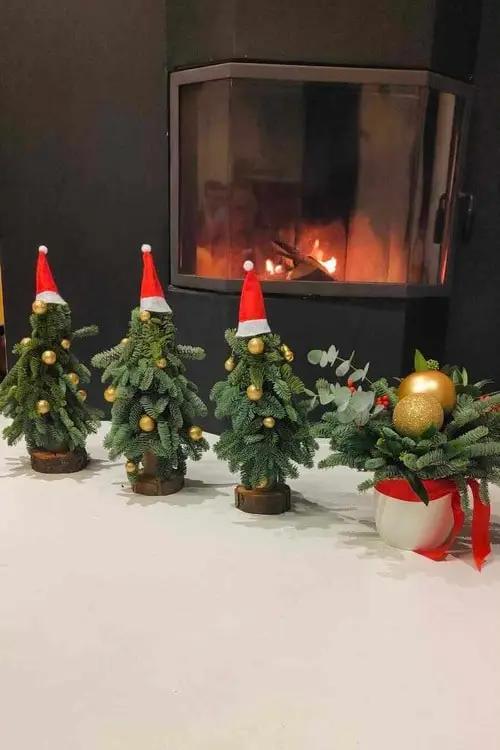 Kilka miniaturowych choinek świątecznych