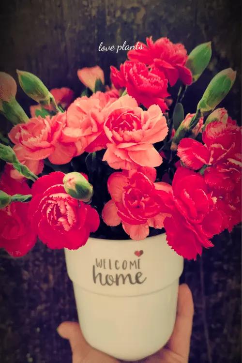 bukiet czerwonych kwiatów w naczyniu