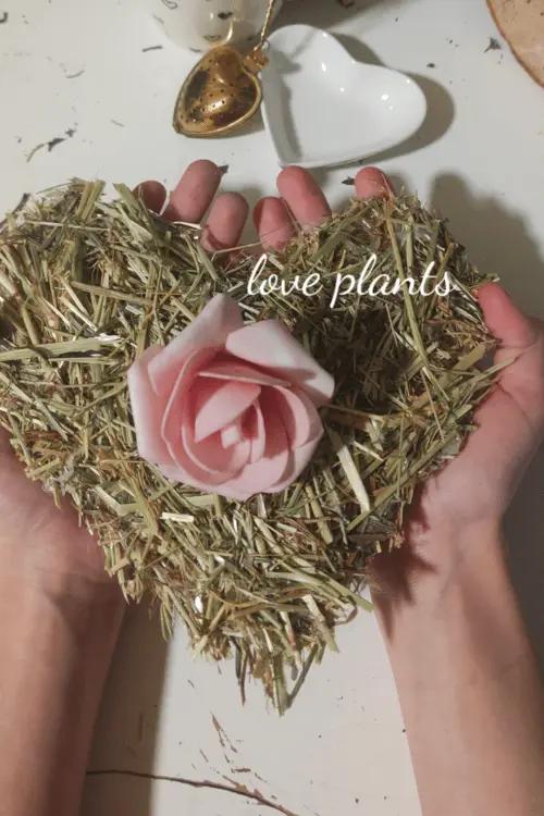 serce z siana z różą w środku