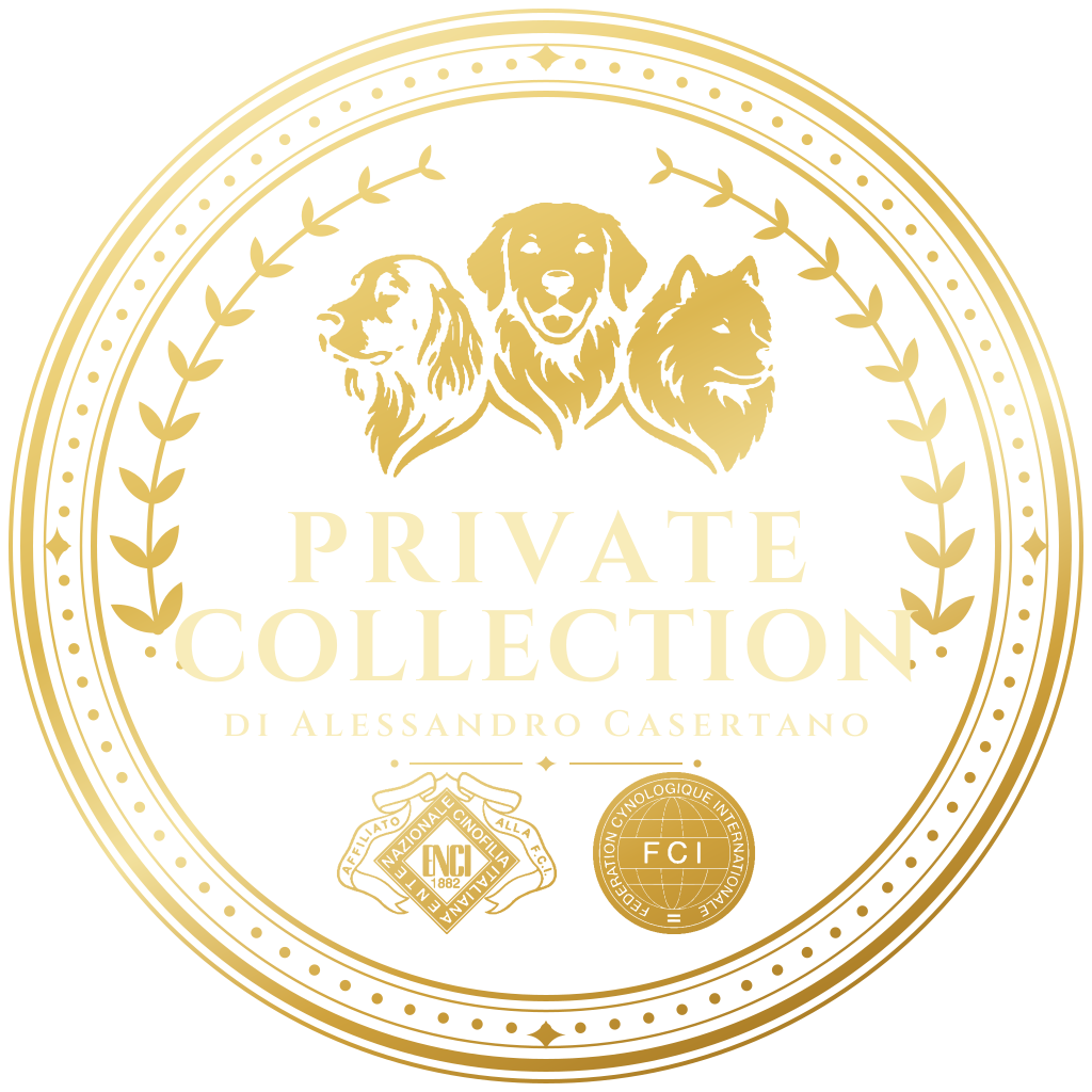 Logo Private Collection - Partner Tecnologico BySys