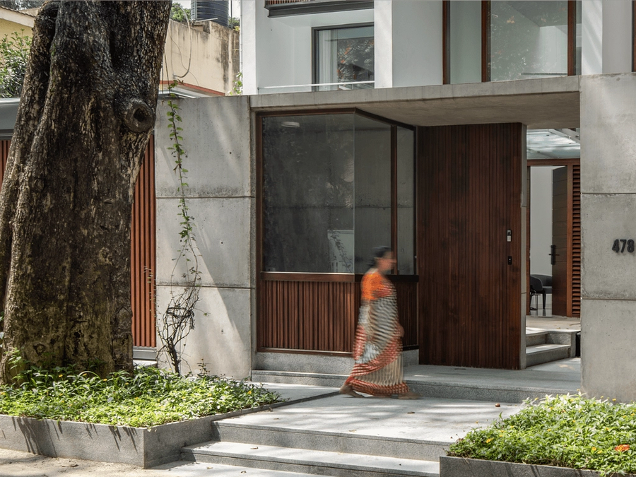 A minimal home shaped by trees 6