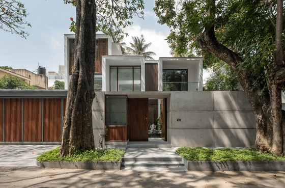 A minimal home shaped by trees
