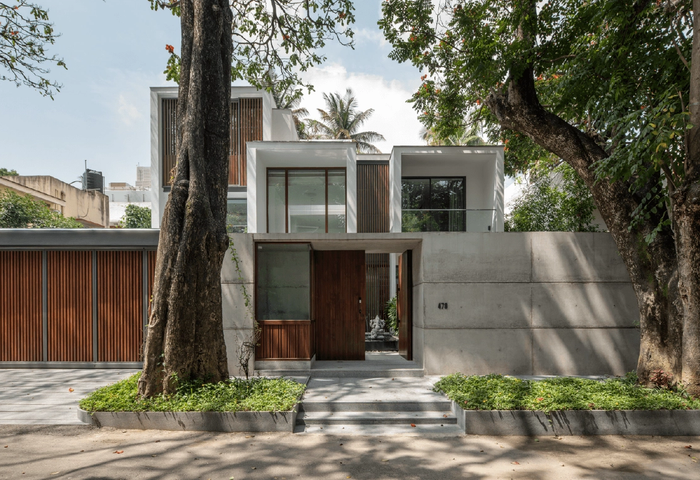 A minimal home shaped by trees