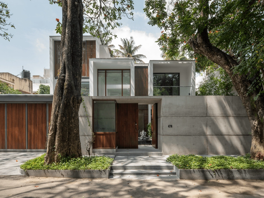 A minimal home shaped by trees 9