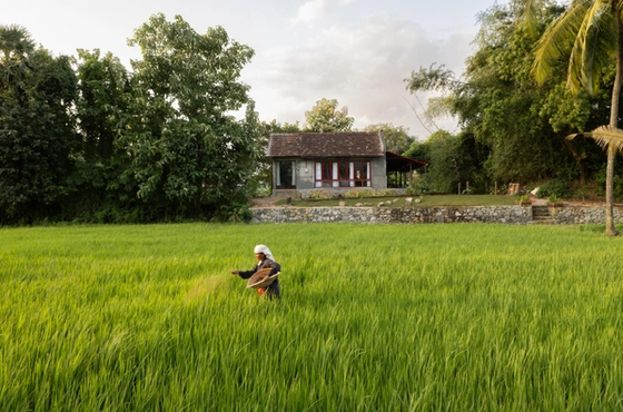 A Revival of Memory and Landscape