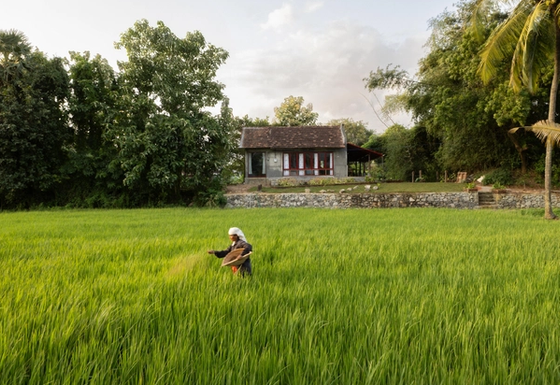 A Revival of Memory and Landscape