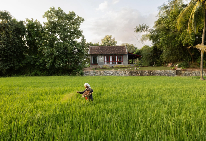 A Revival of Memory and Landscape