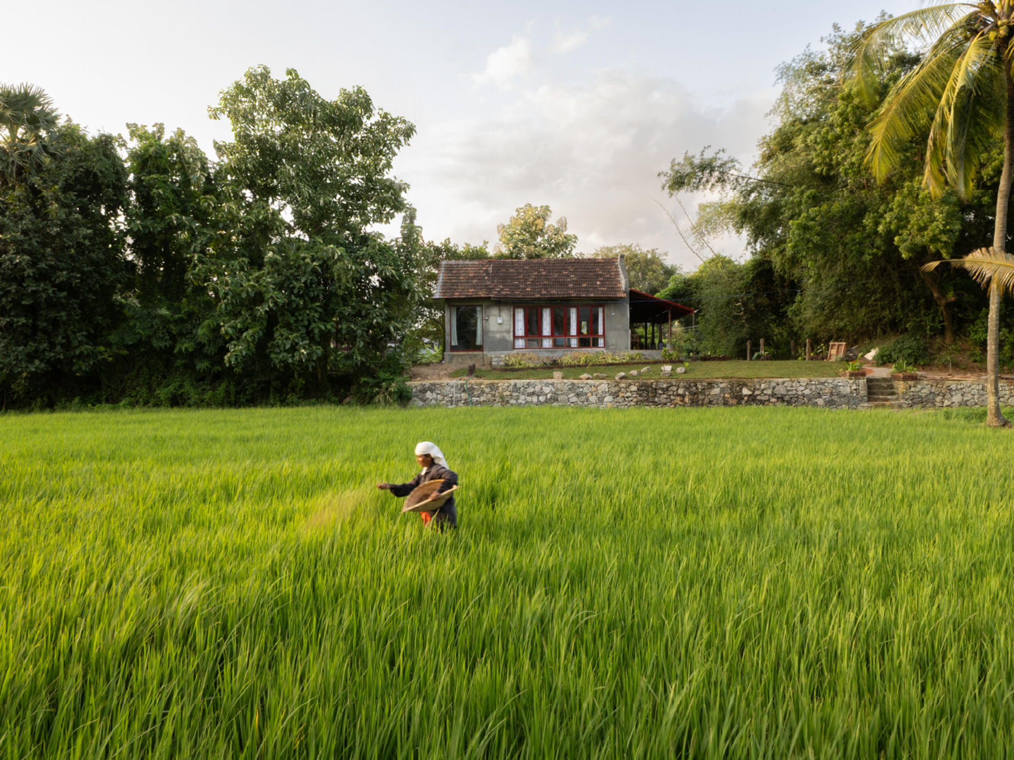A Revival of Memory and Landscape