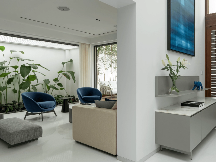 A minimal home shaped by trees 5