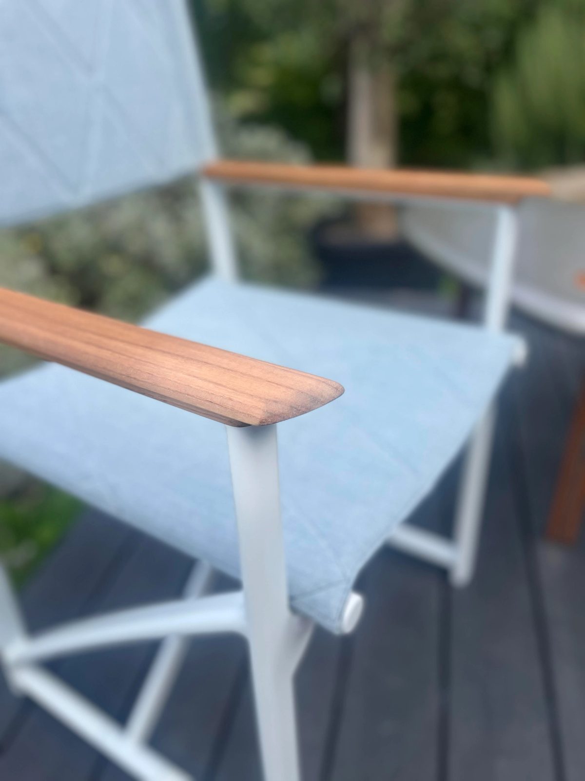 Director's Chair