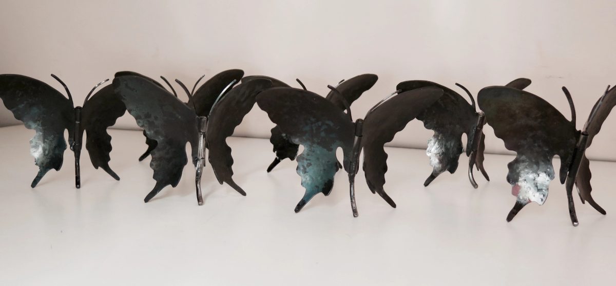 Butterflies
