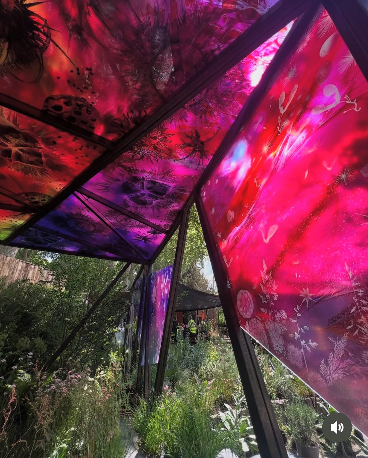 Chelsea Flower Show 2025