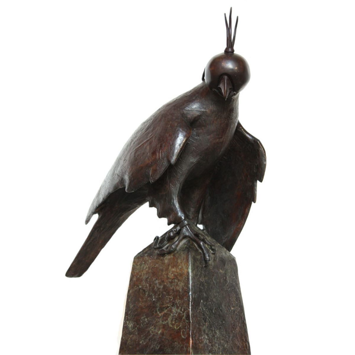 Hooded Falcon