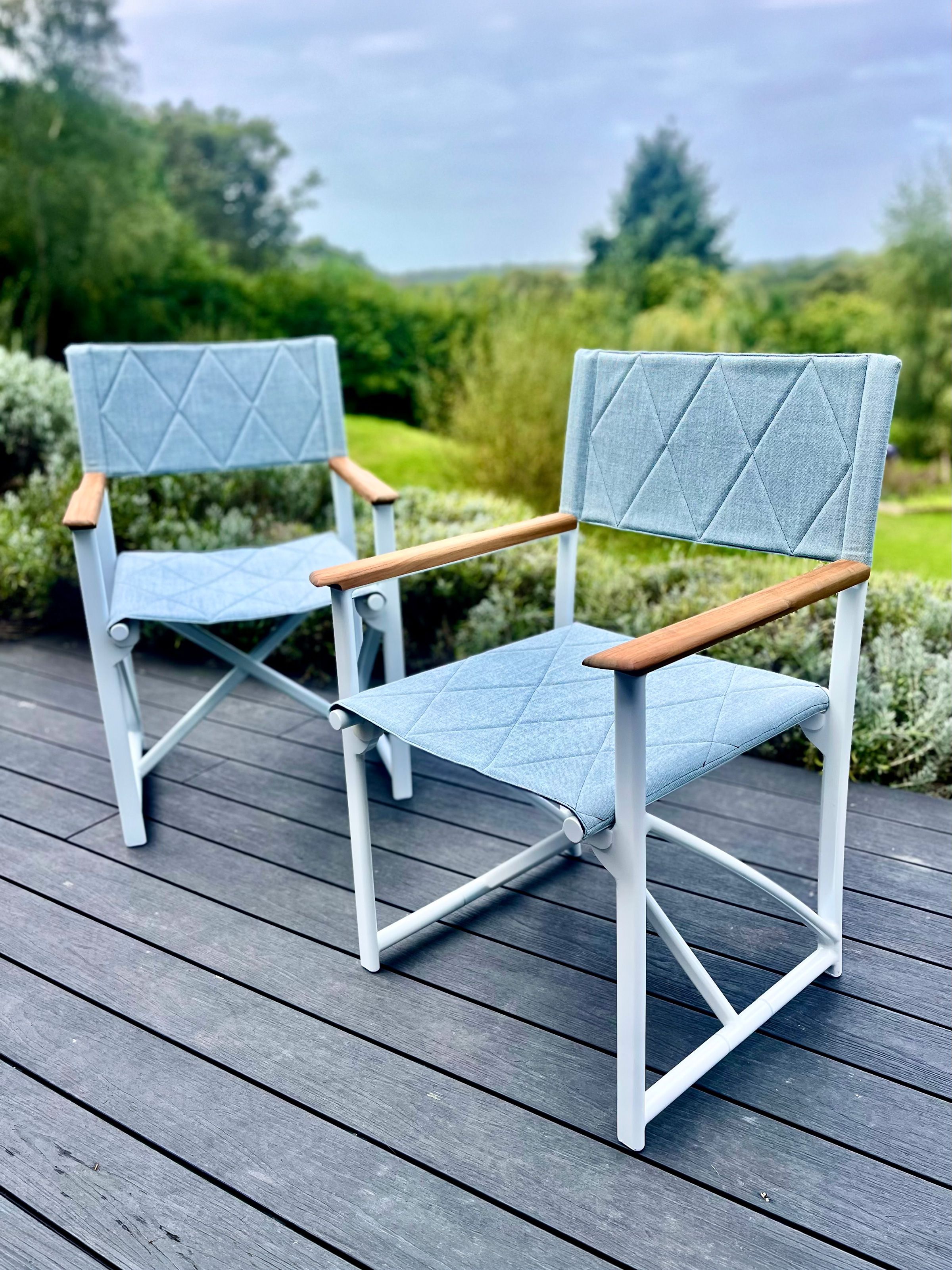 Director's Chair