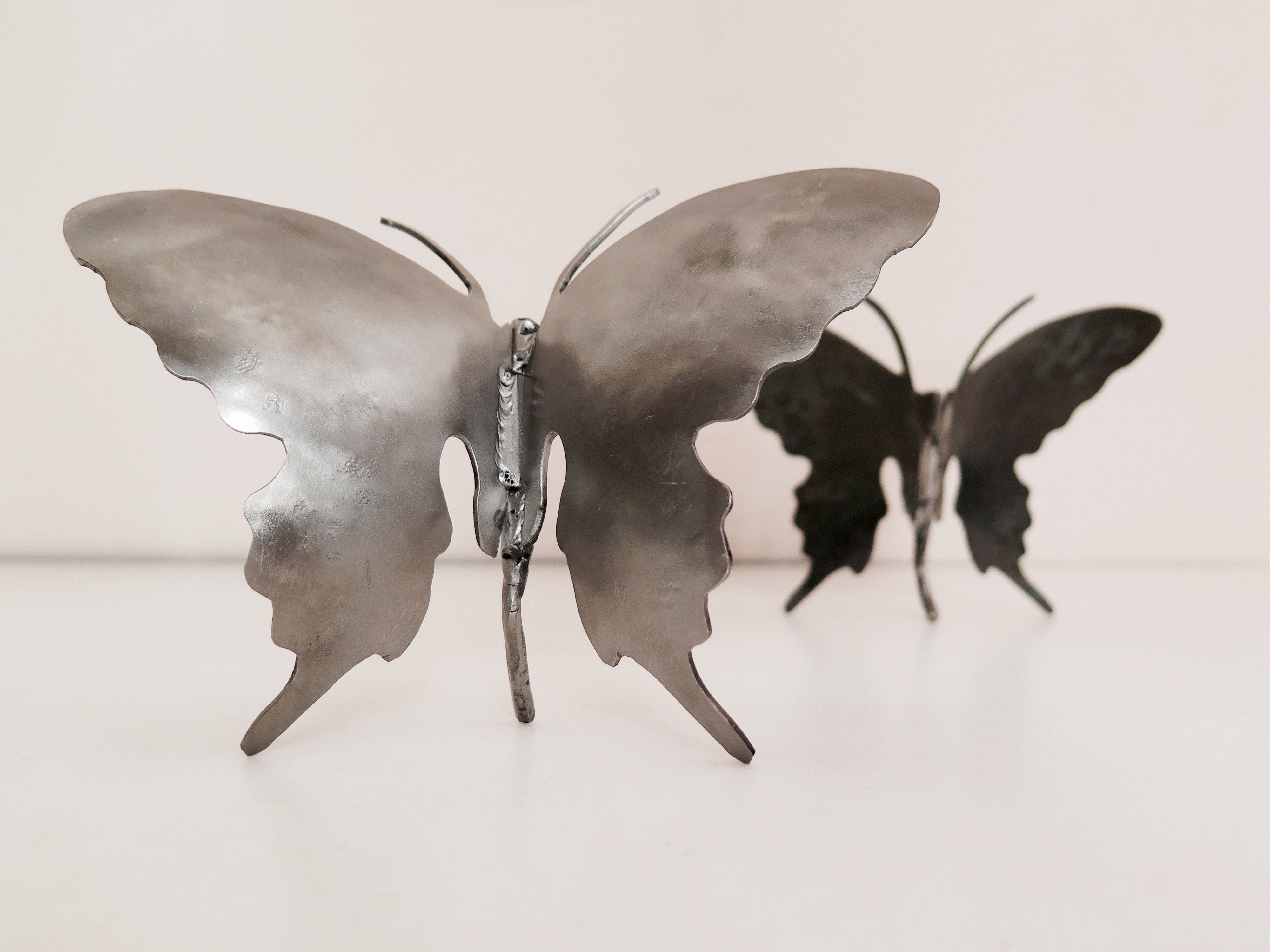 Butterflies