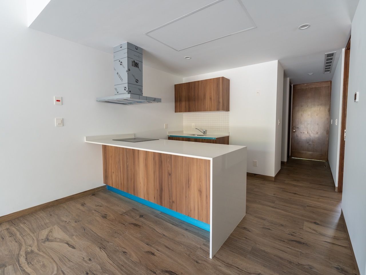 Kitchen counter and hallway leading toward the entry door at The Leaf
