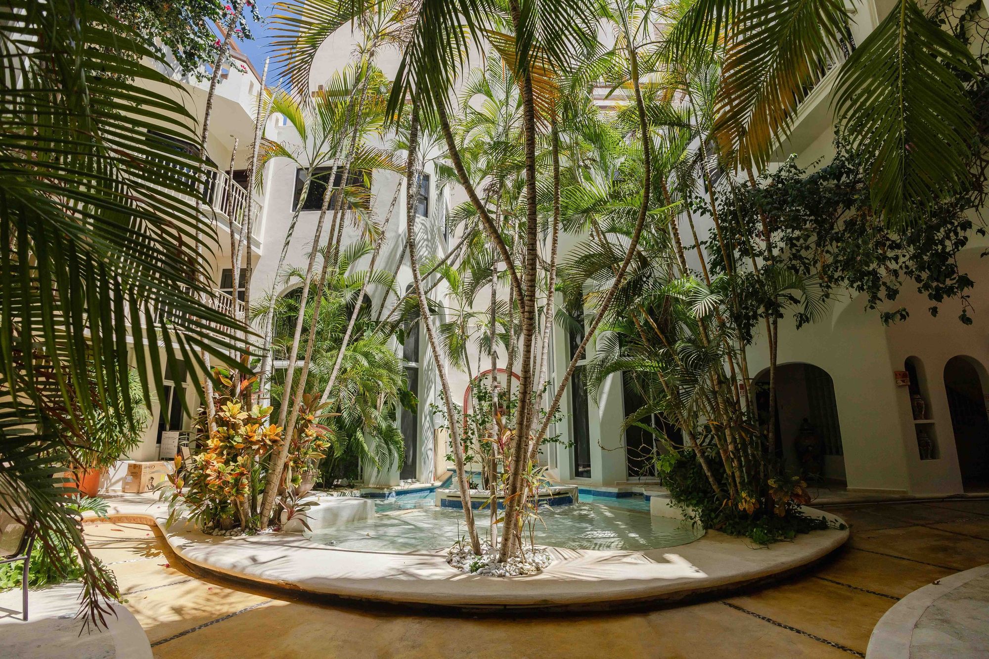 Landscaped courtyard with a swimming pool and tropical plants at Royal Palms