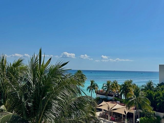 View over palm trees to the ocean horizon from an upper terrace at The Elements PH21