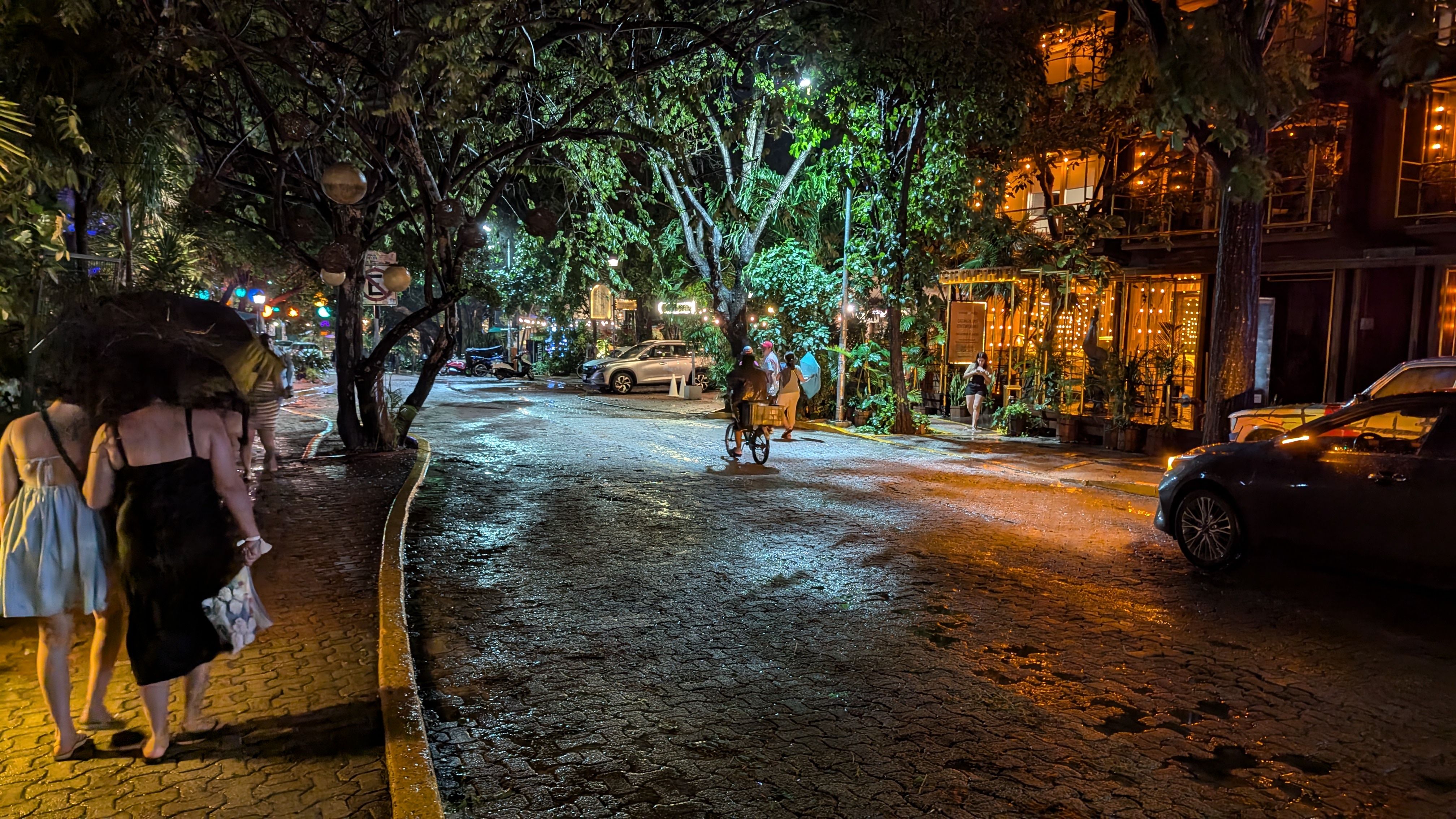 Tree-lined Calle 38 in Playa del Carmen at night, with pedestrians and illuminated restaurants.