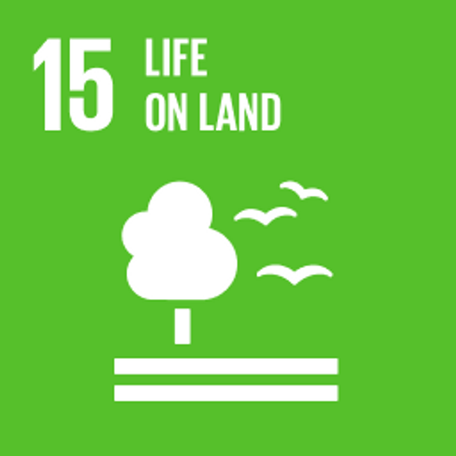  UN Sustainable Development Goals Life on Land