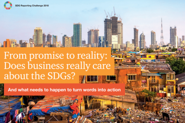 PwC; SDGs
