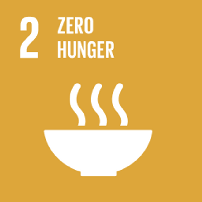 UN Sustainable Development Goals Zero Hunger