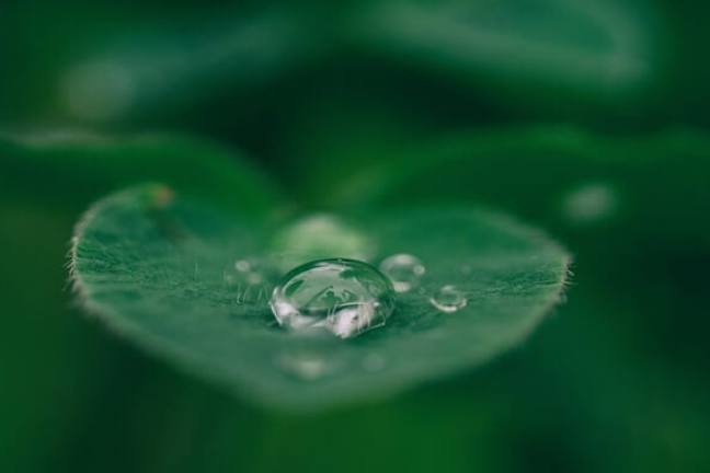 sustainability in business