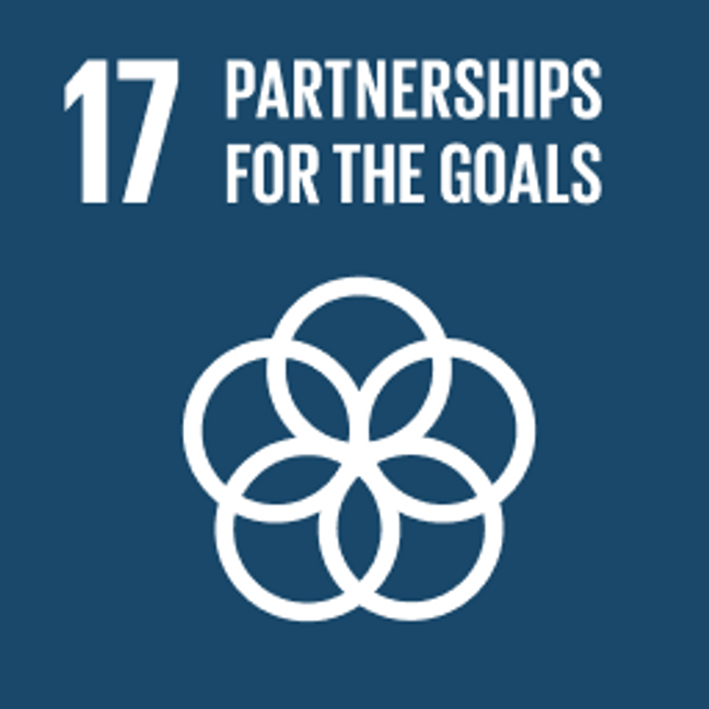 UN Sustainable Development Goals Partnerships for the Goals