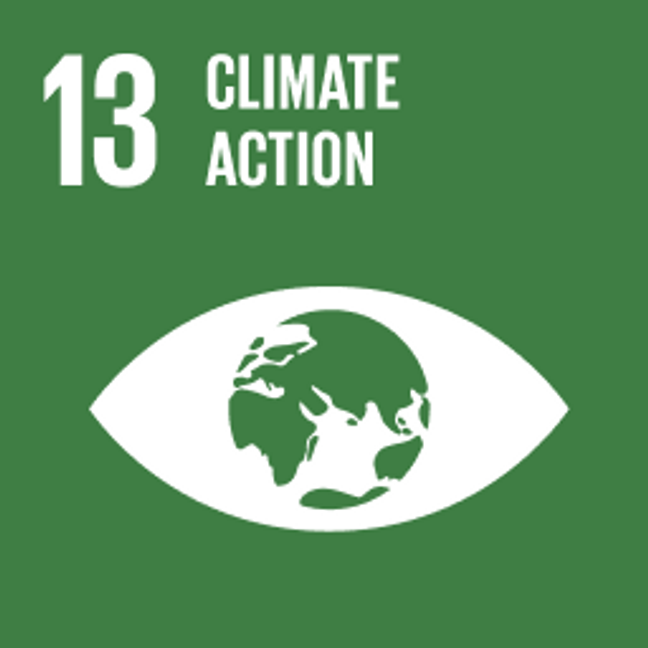UN Sustainable Development Goals Climate Action