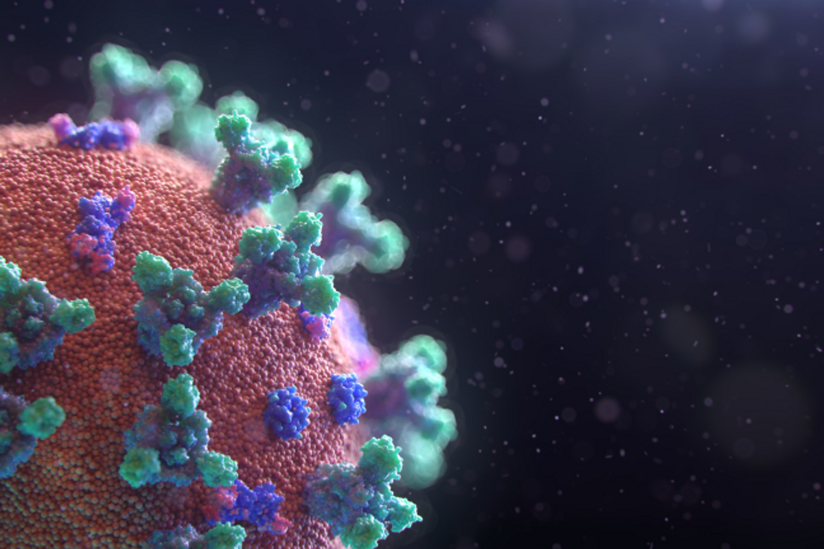 Coronavirus guide